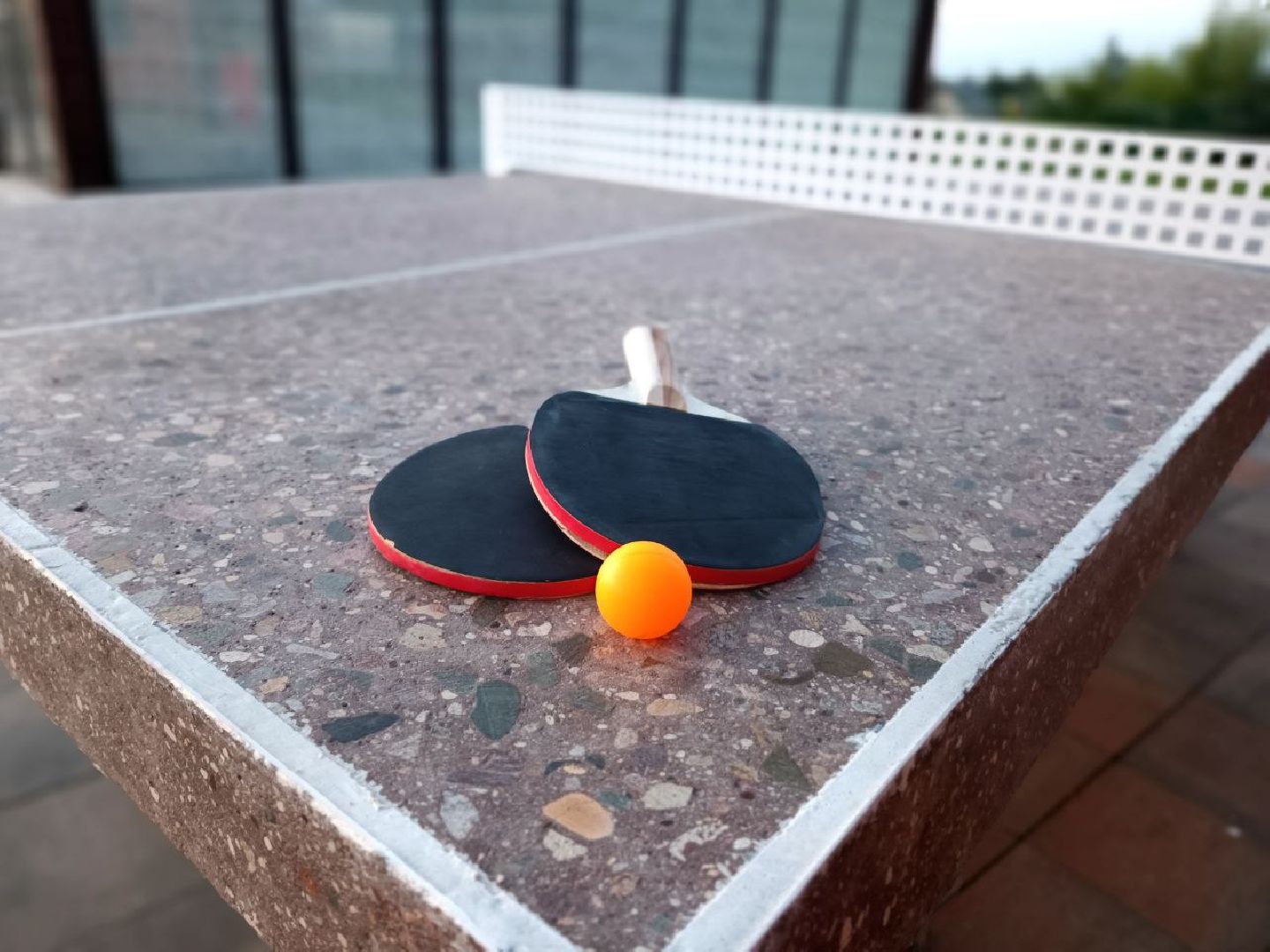 Можайск, Можайский городской округ, Подмосковье, парк, спорт, шахматы, настольный теннис, губернатор, общественное пространство, активности