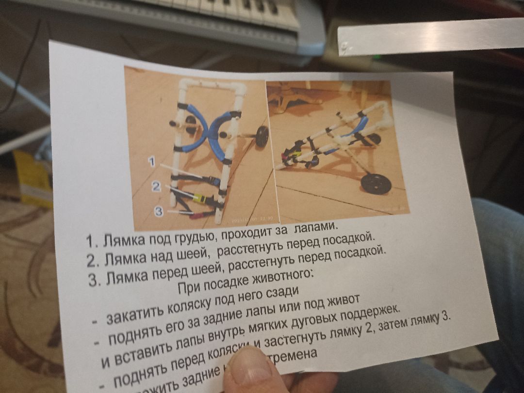 Серпухов, люди