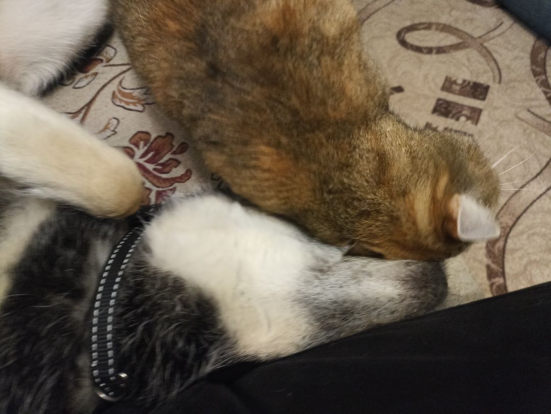 Серпухов, люди