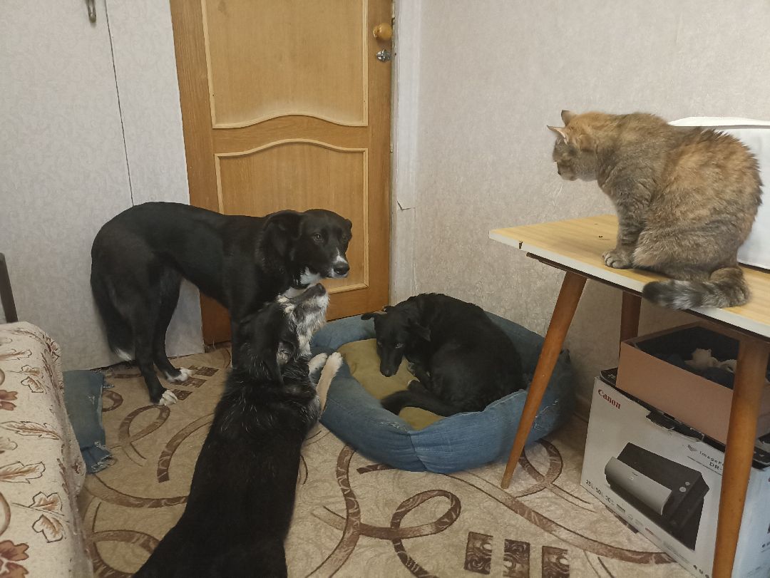 Серпухов, люди