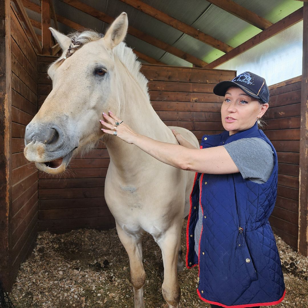 Иваново поле, фестиваль, лошади, село Ивановское, городской округ Черноголовка