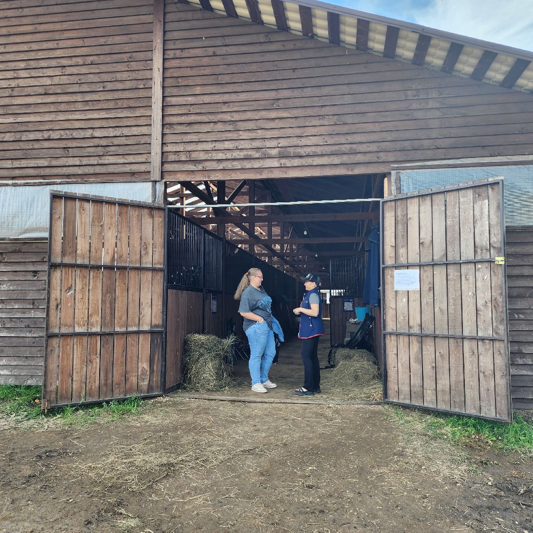 Иваново поле, фестиваль, лошади, село Ивановское, городской округ Черноголовка