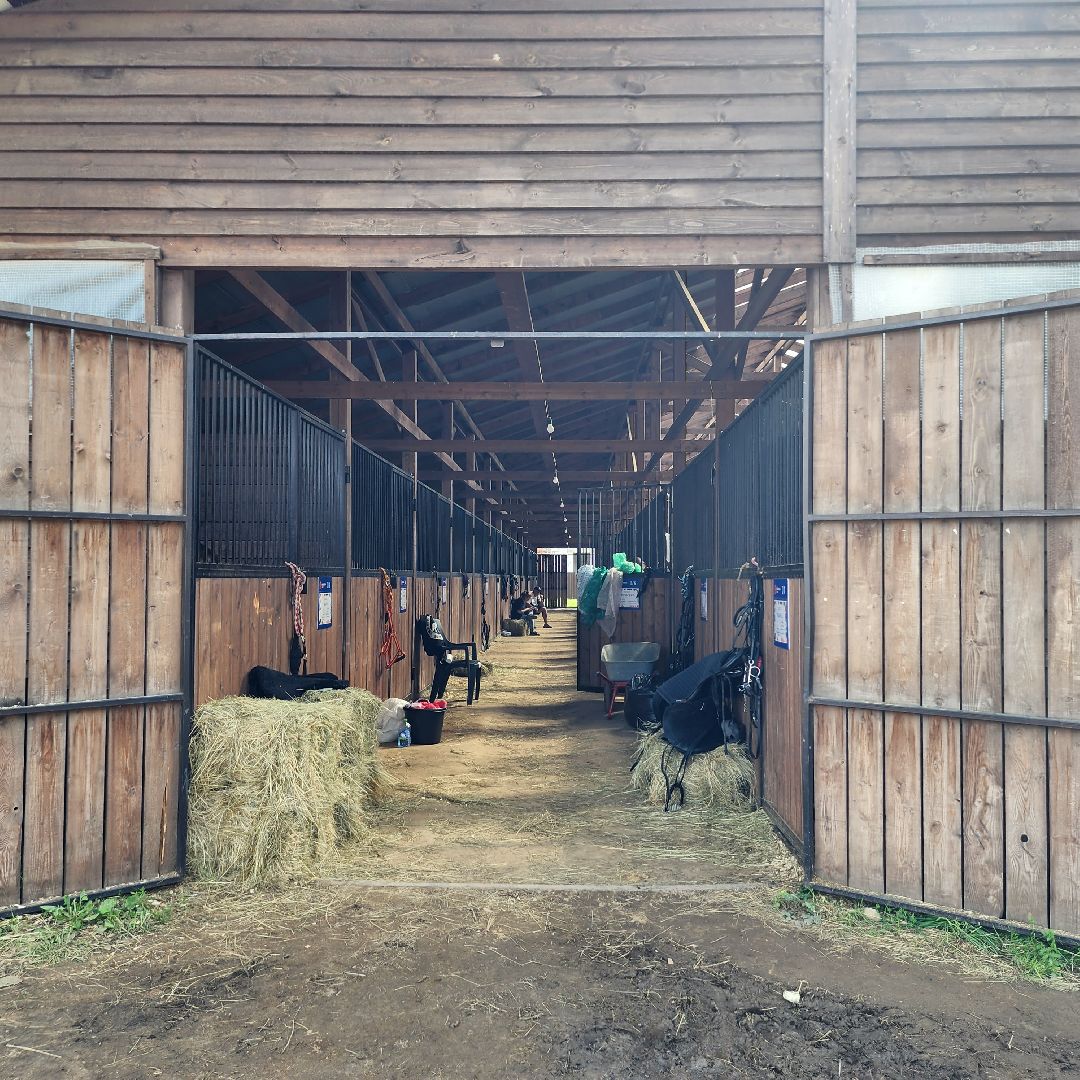 Иваново поле, фестиваль, лошади, село Ивановское, городской округ Черноголовка