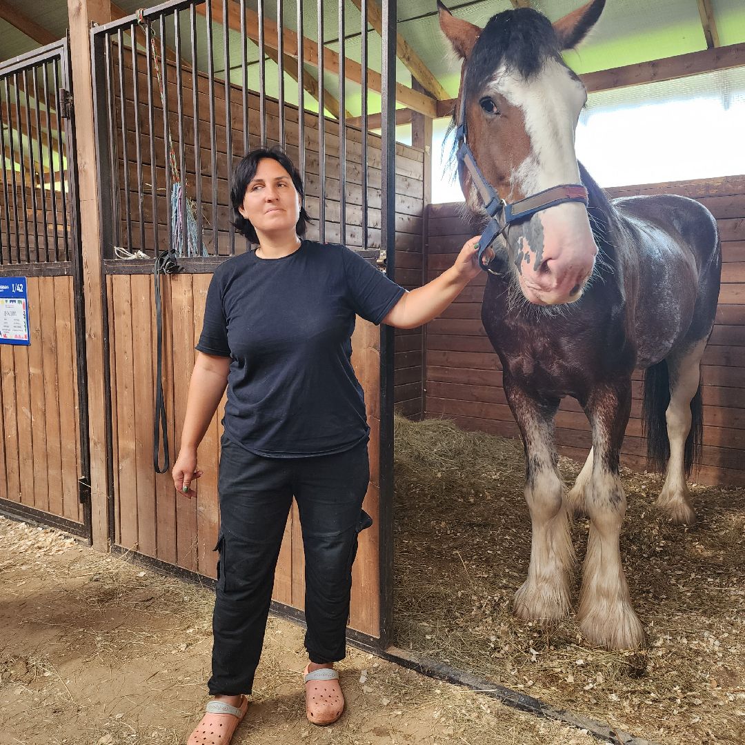 Иваново поле, фестиваль, лошади, село Ивановское, городской округ Черноголовка
