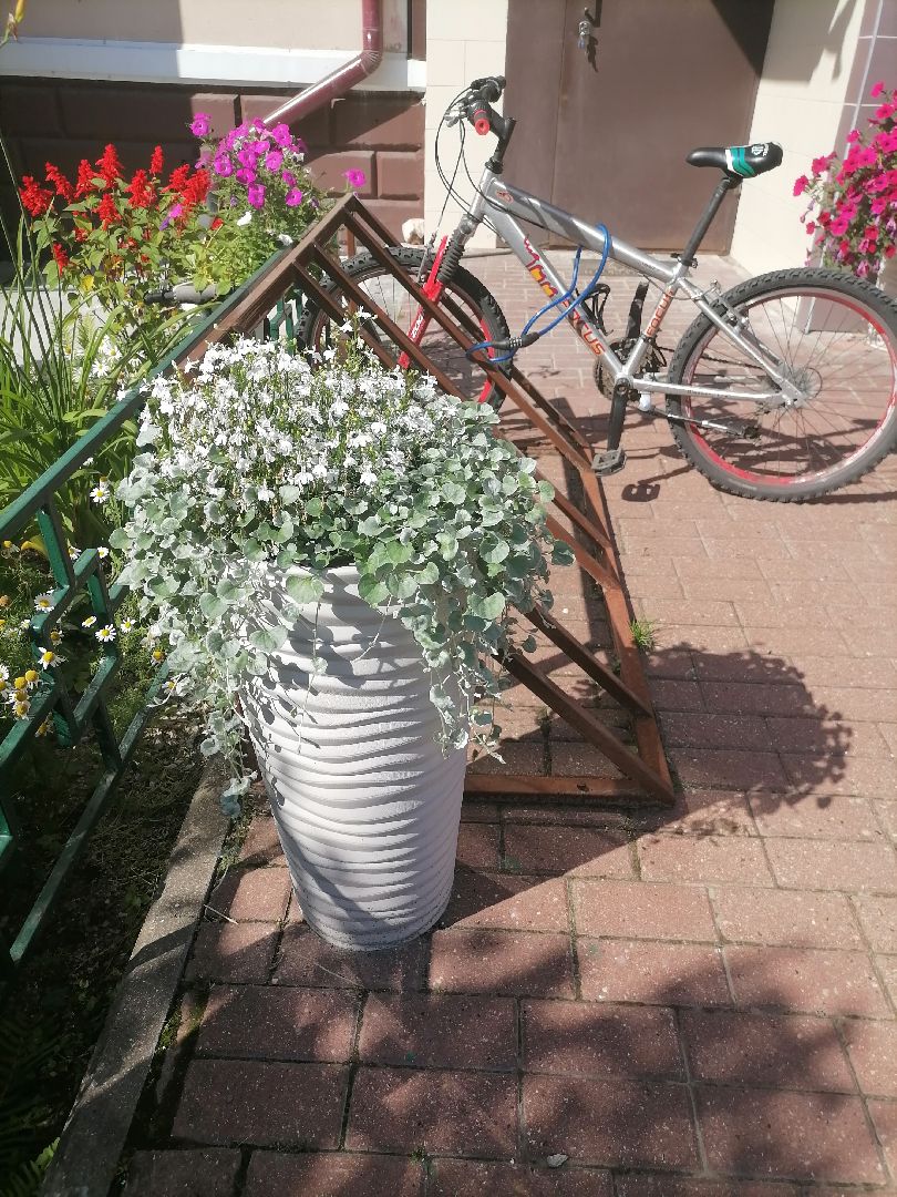 дворыподмосковья