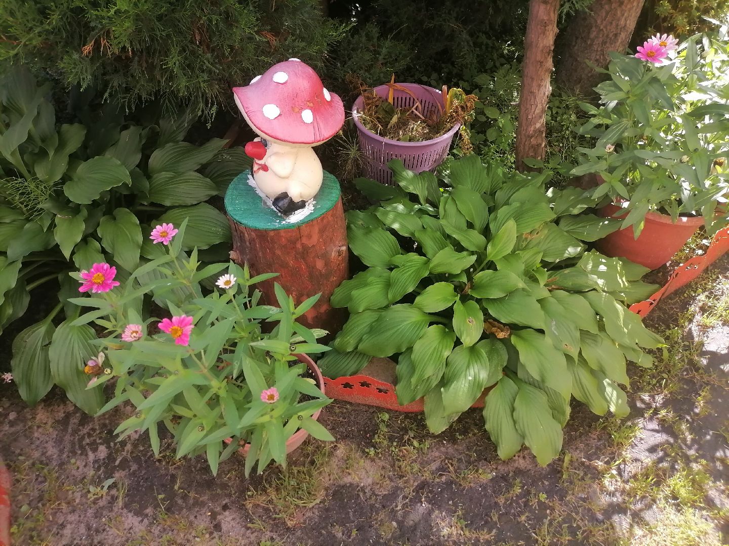 дворыподмосковья