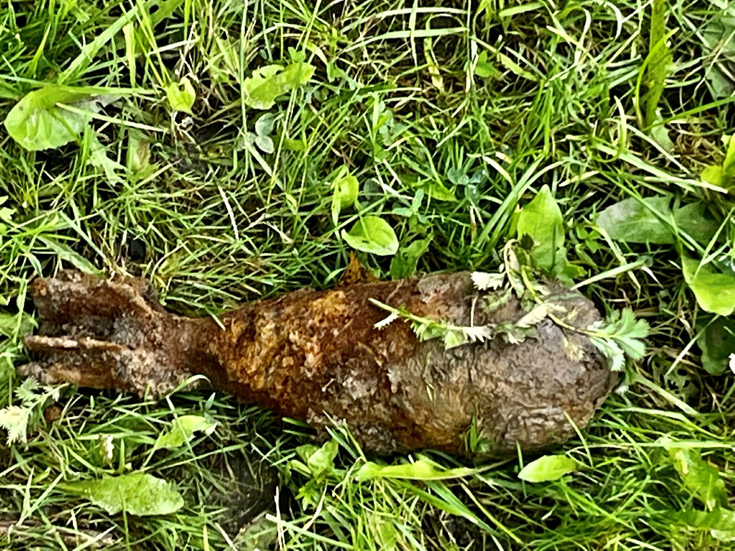 Наро-Фоминск, эхо войны, снаряд, Великая Отечественная война