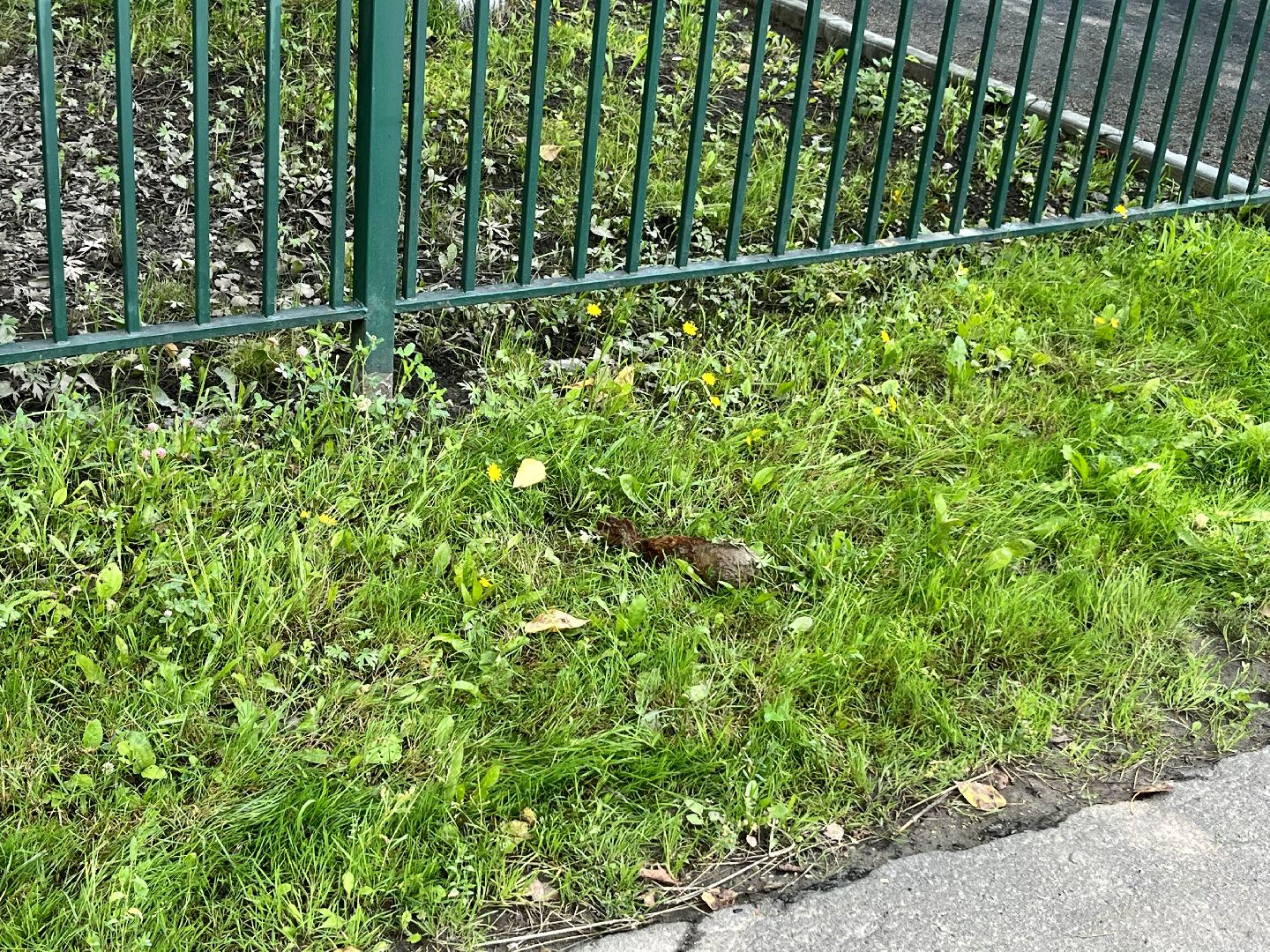 Наро-Фоминск, эхо войны, снаряд, Великая Отечественная война