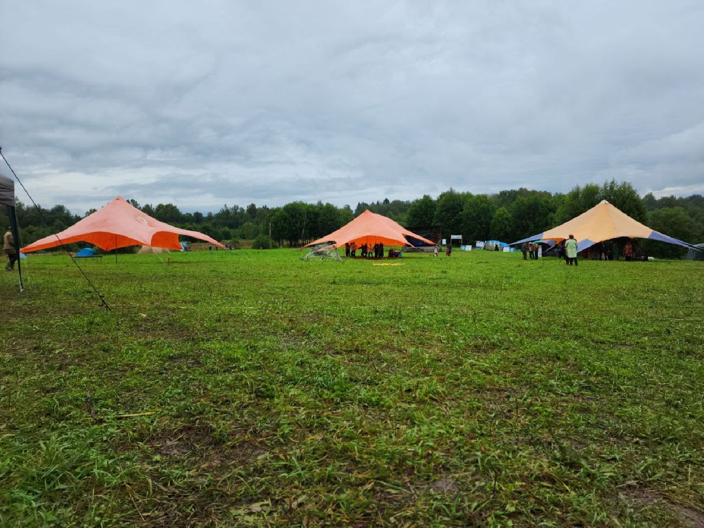 Дмитров, Фестиваль здоровья и долголетия, Василево поле