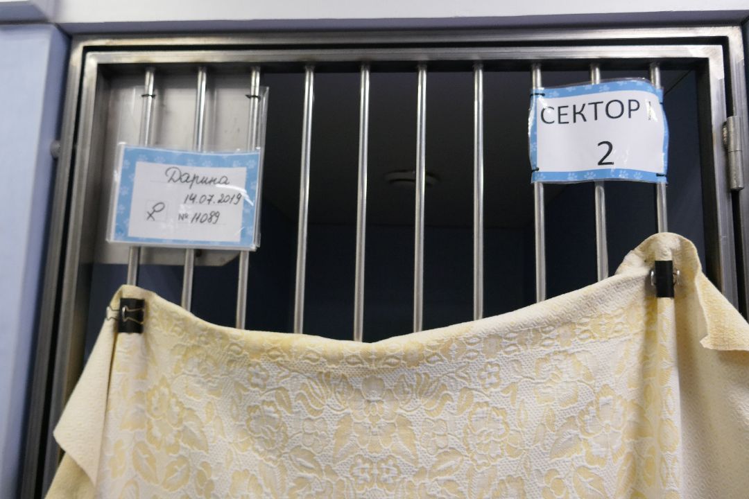 Подольск, волонтеры