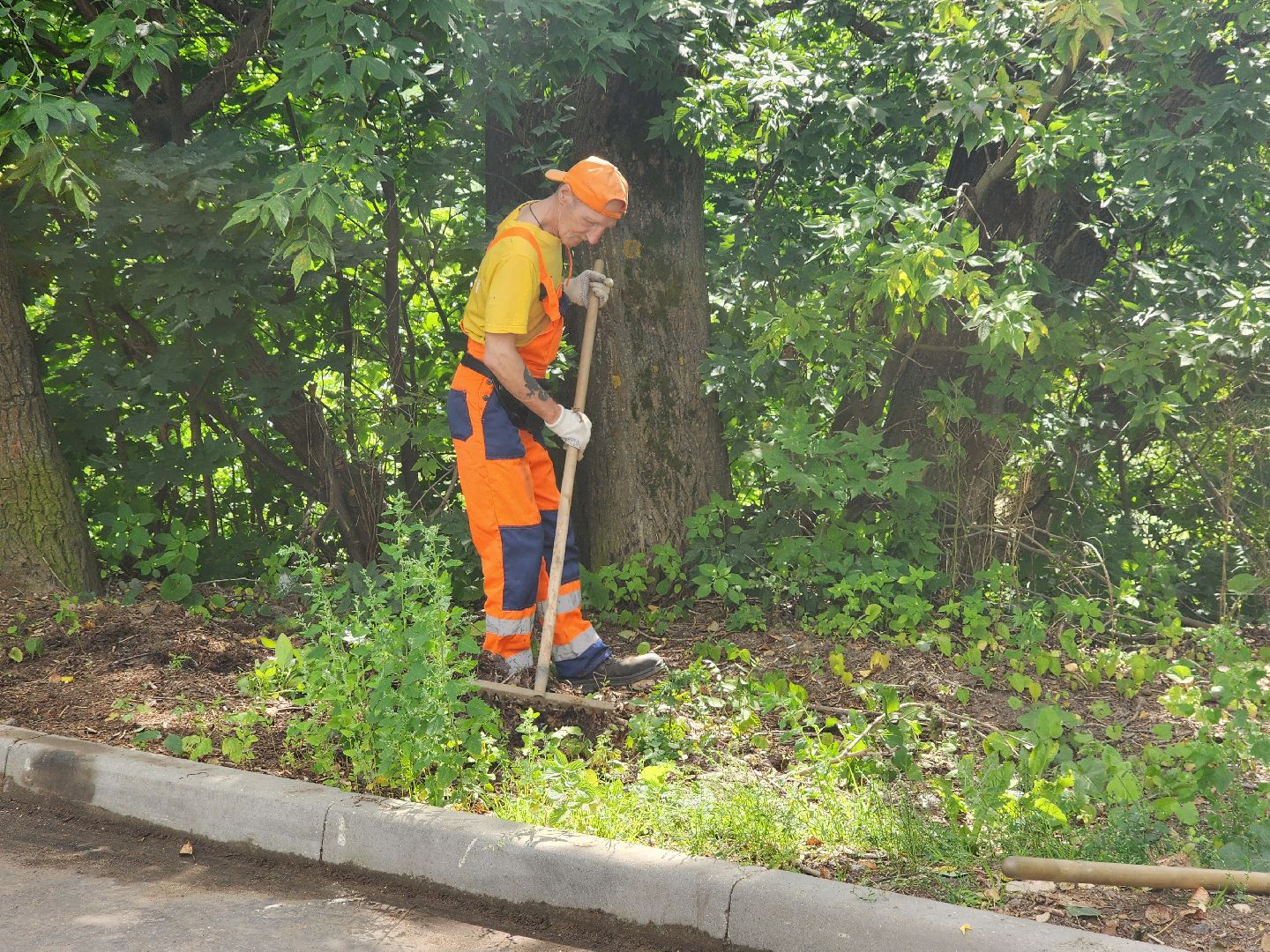 доброе дело, двор, помощь людям