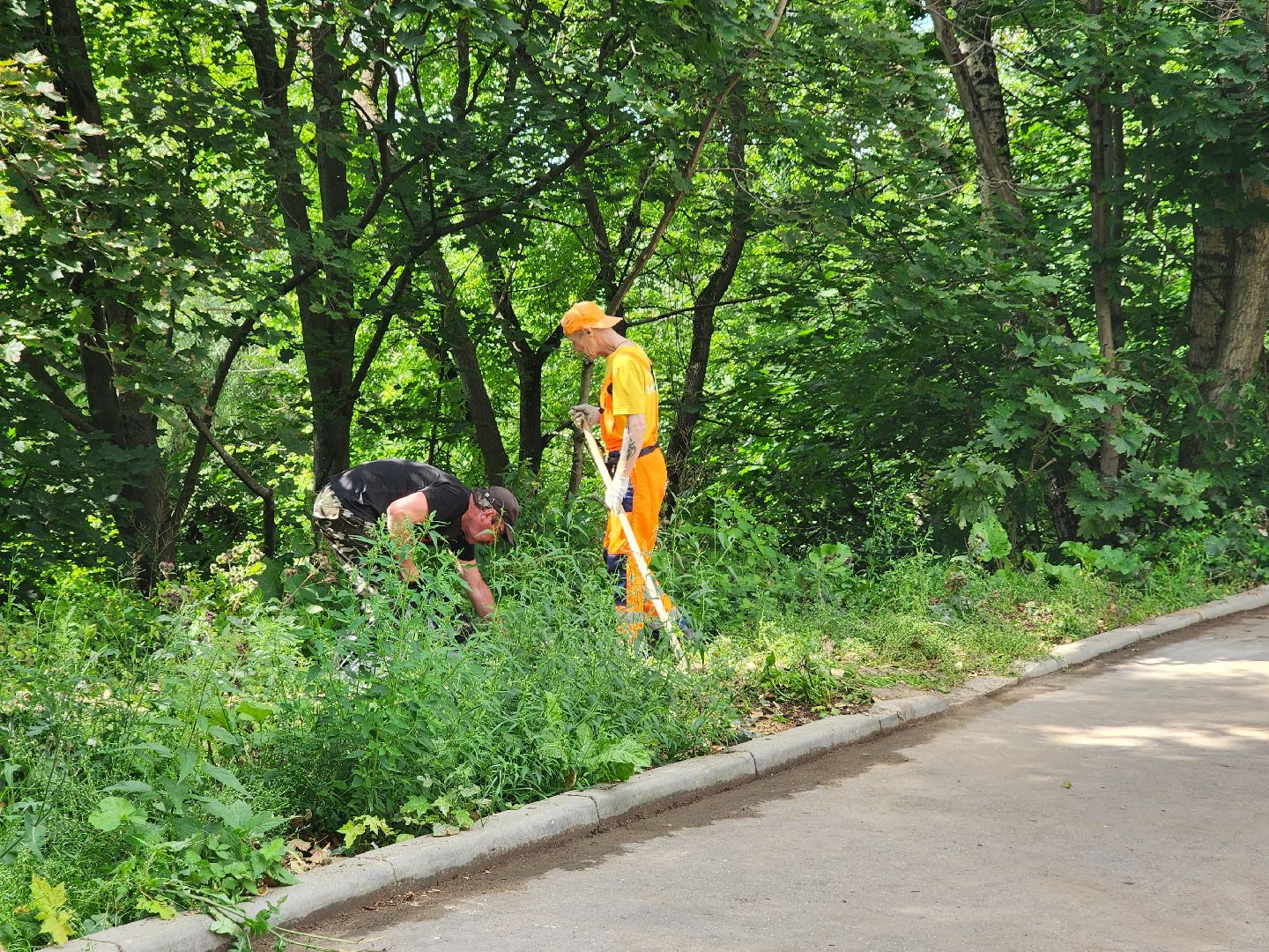 доброе дело, двор, помощь людям