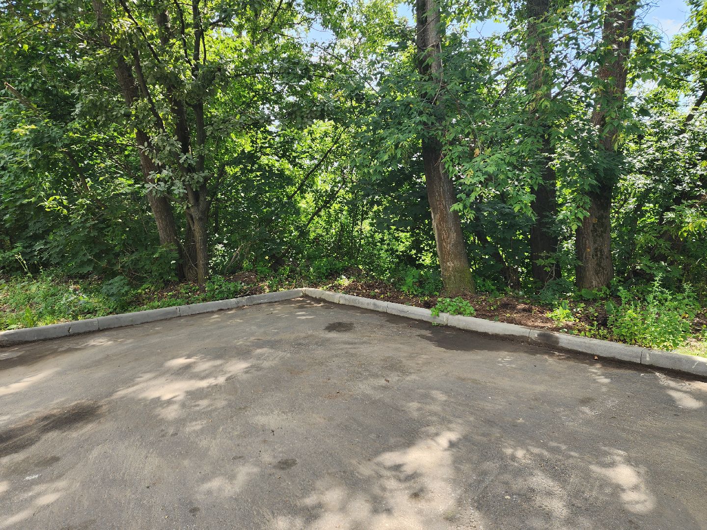 доброе дело, двор, помощь людям