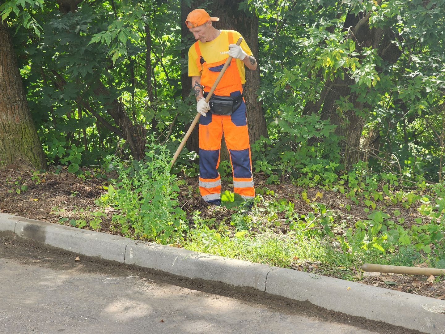 доброе дело, двор, помощь людям