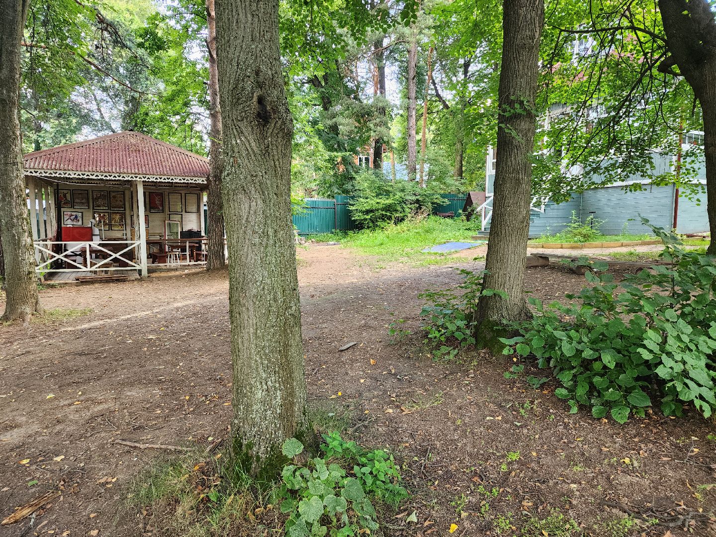 лето в подмосковье, знаменитости, дождь