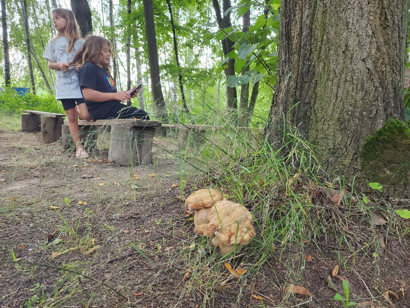лето в подмосковье, знаменитости, дождь