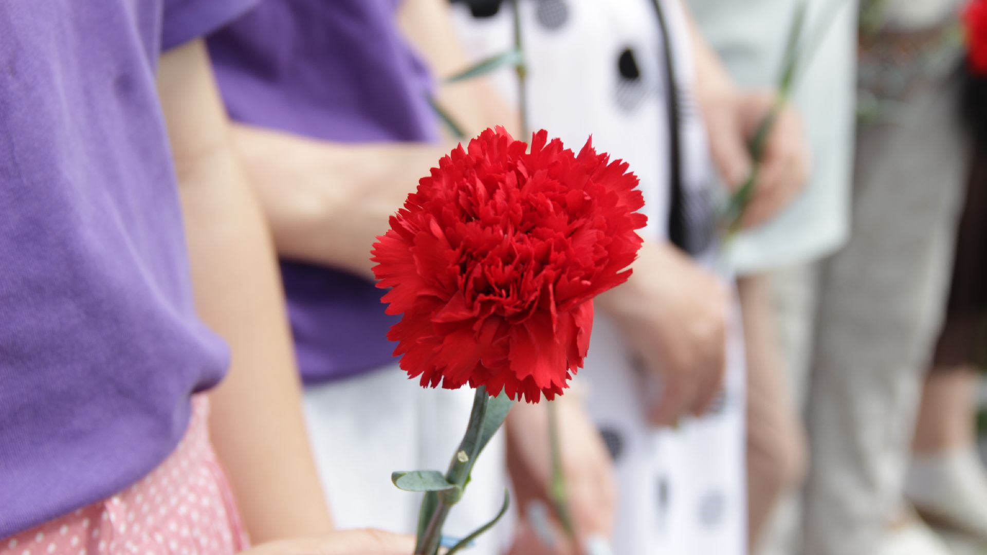 #Рошаль#ДеньПамятиРоссийскихВоинов#ПерваяМировая#БольшаяШатура