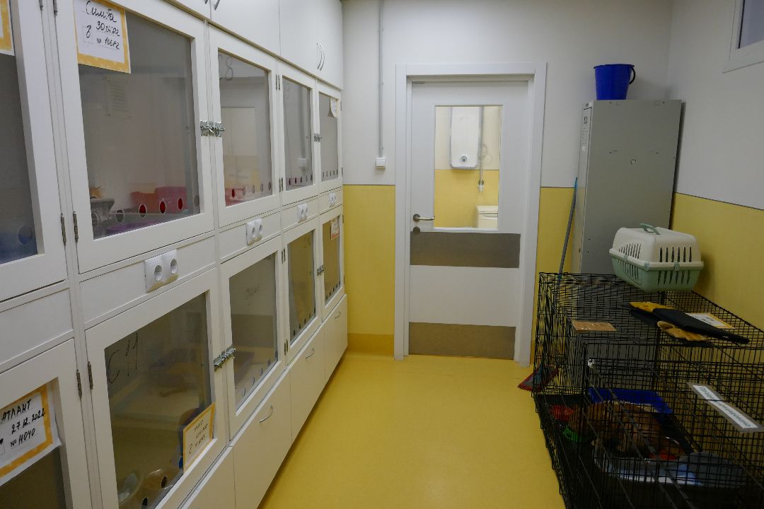 Подольск, волонтеры