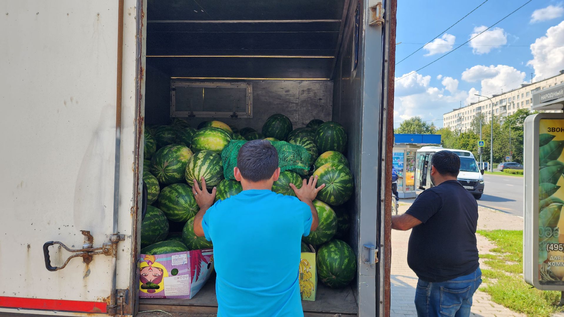 торговля, сезон арбузов,