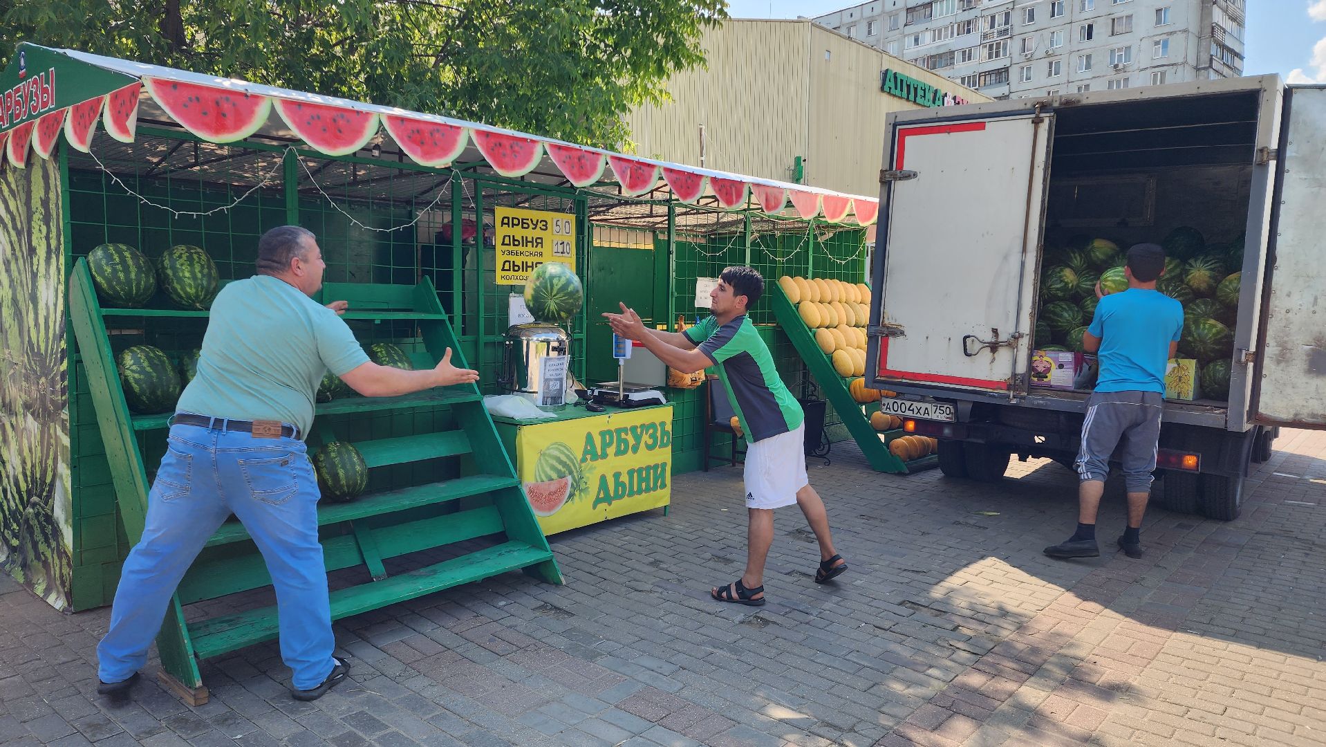 торговля, сезон арбузов,