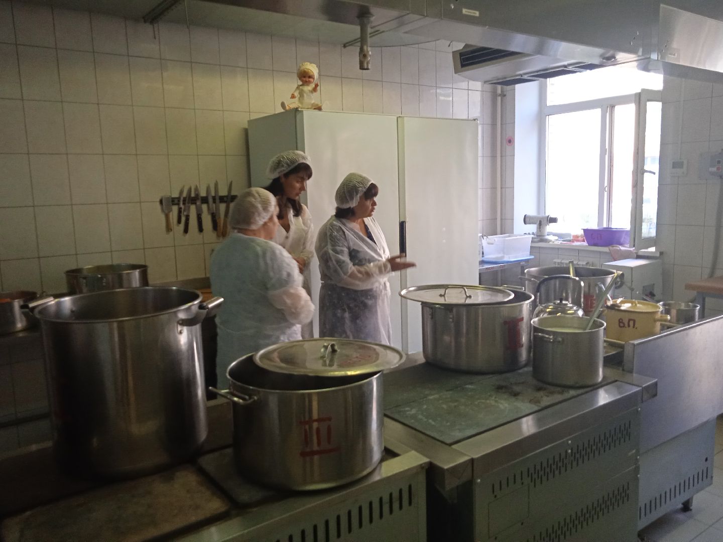 Алфёрова, Ольга, управление, образование, детский, сад, 35, проверка, учебный, год