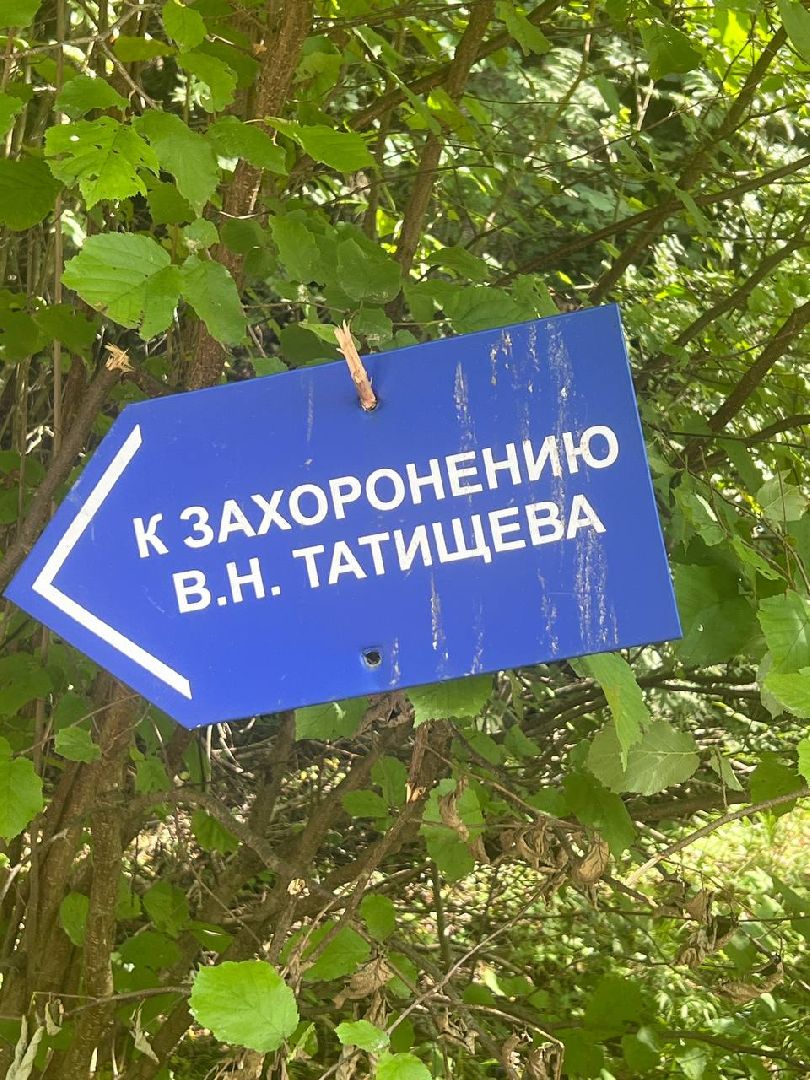 Солнечногорск, тропа, Татищев, благоустройство, мунициплитет