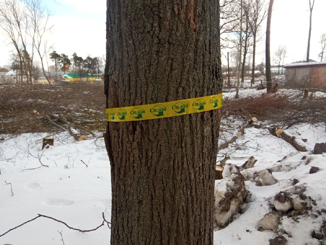 Павловский Посад, Парки, Строительство