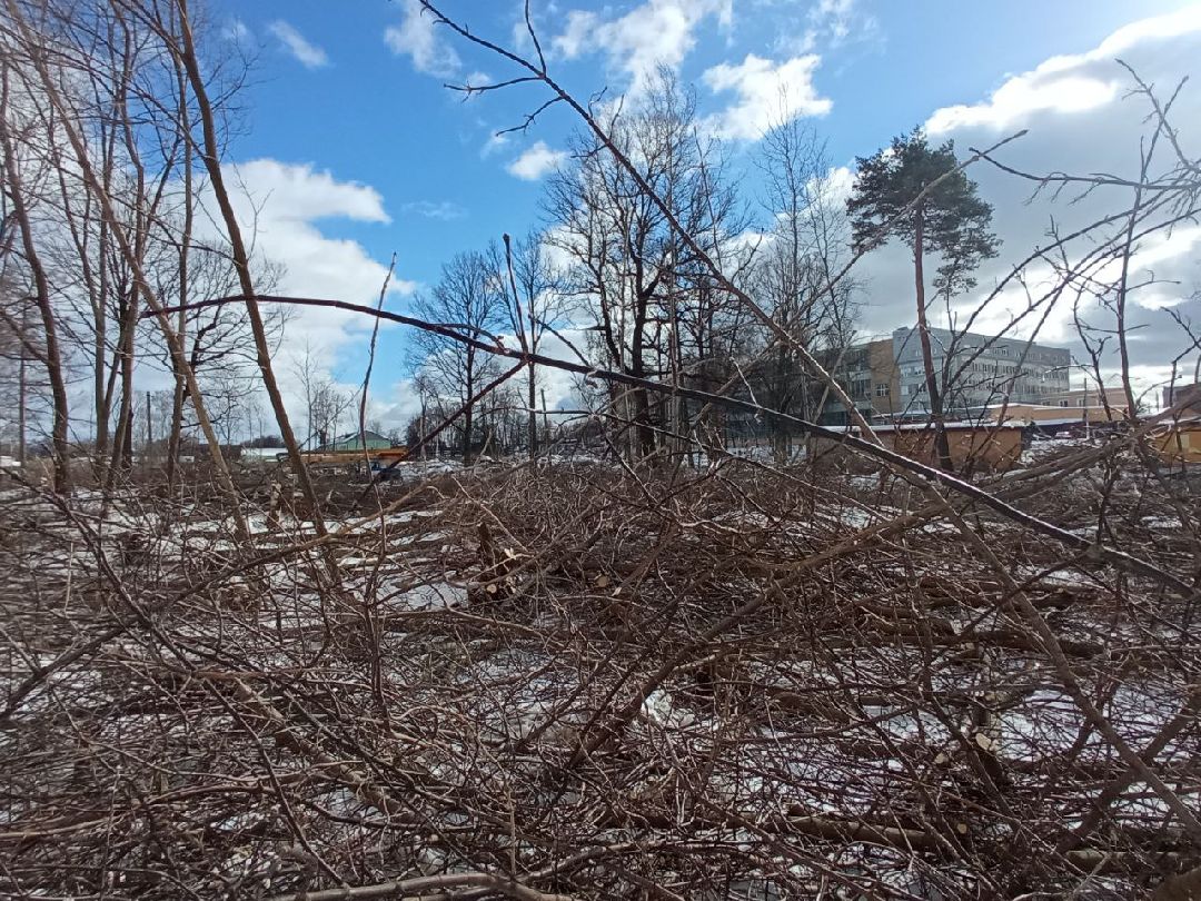 Павловский Посад, Парки, Строительство