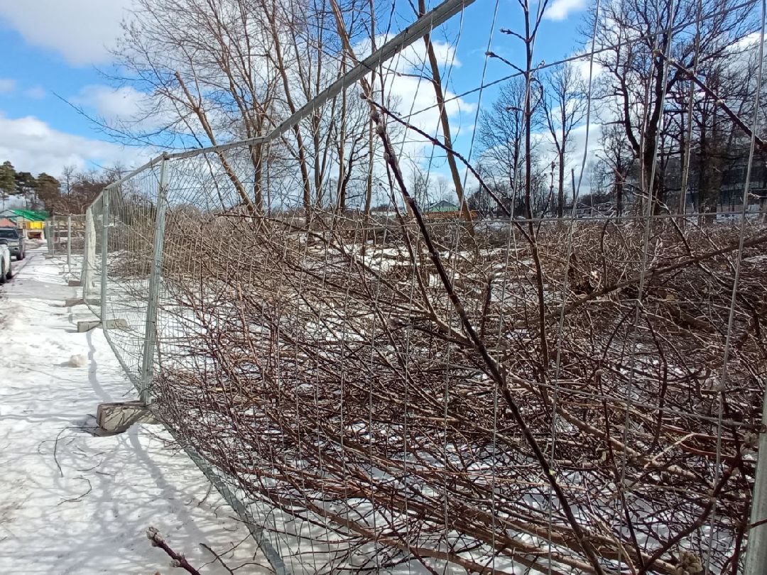 Павловский Посад, Парки, Строительство