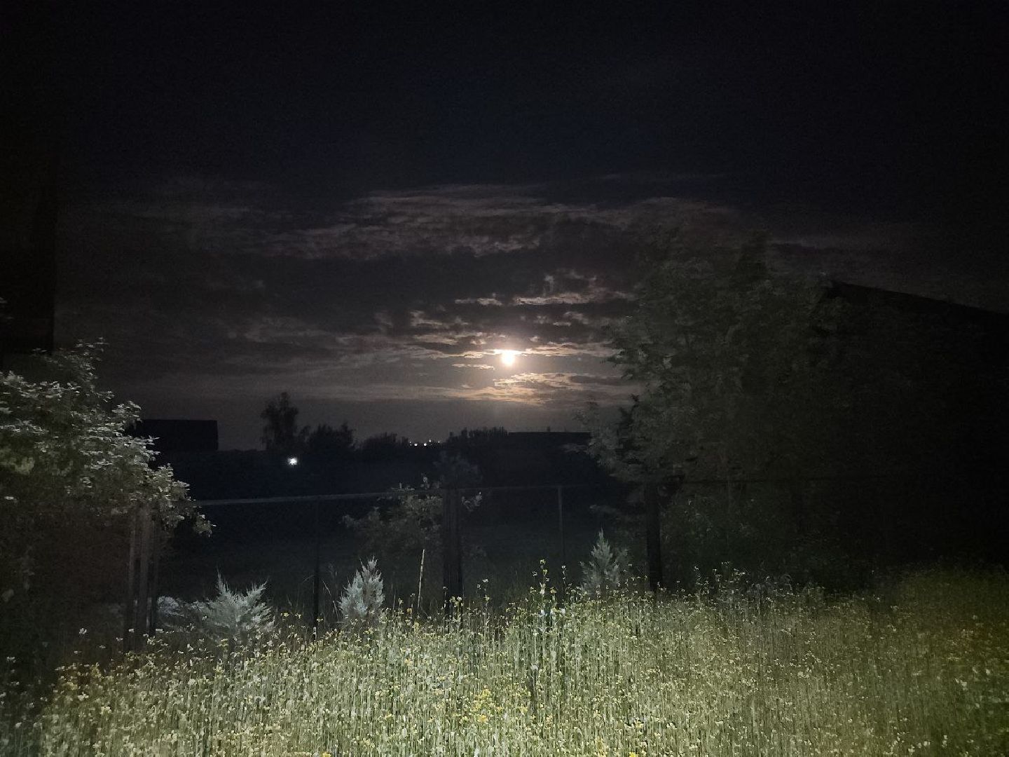 Полнолуние, Подмосковье