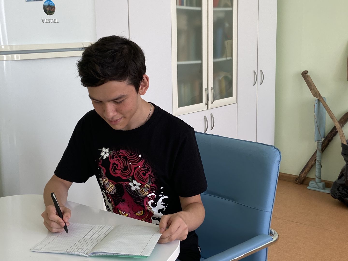 дети, школы,