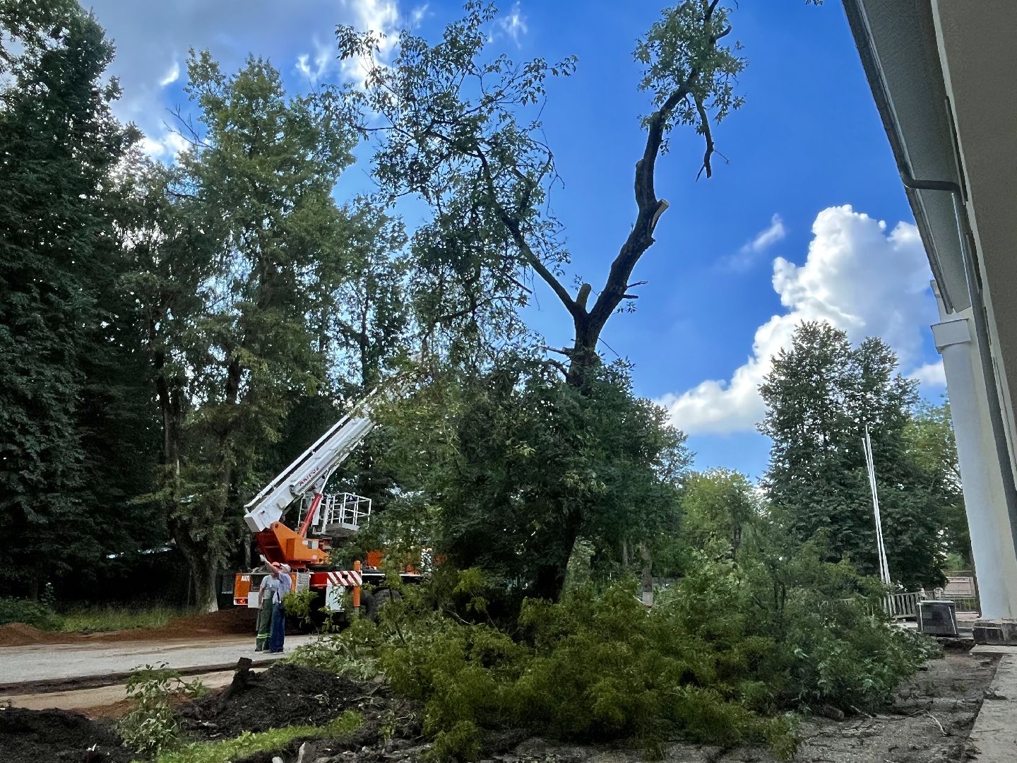 Наро-Фоминск, опиловка деревьев, благоустройство территории, новая жизнь улицы, комфортная среда