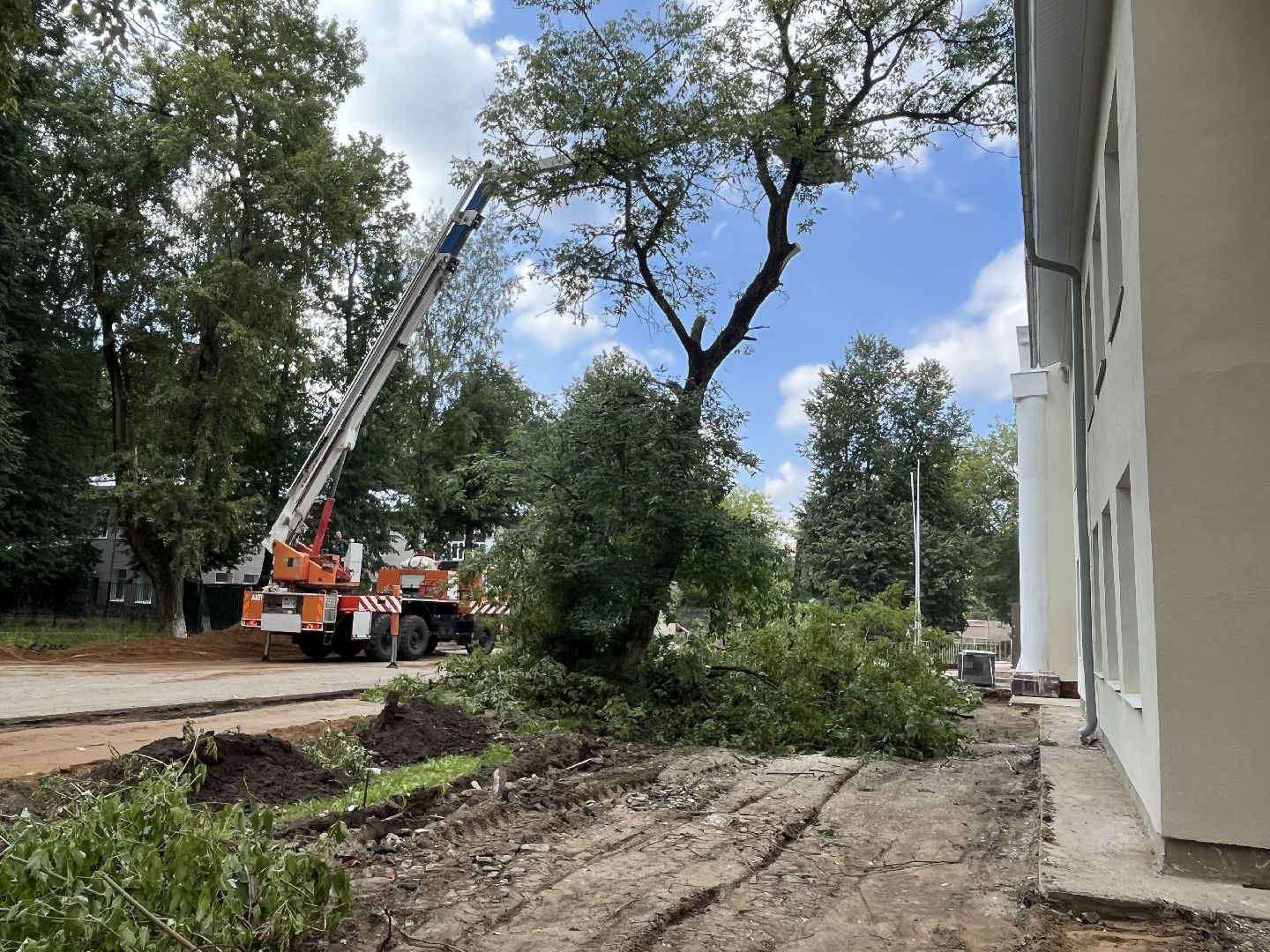 Наро-Фоминск, опиловка деревьев, благоустройство территории, новая жизнь улицы, комфортная среда