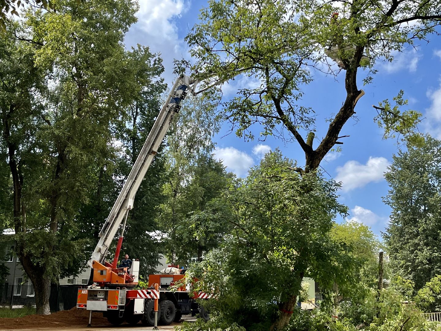Наро-Фоминск, опиловка деревьев, благоустройство территории, новая жизнь улицы, комфортная среда