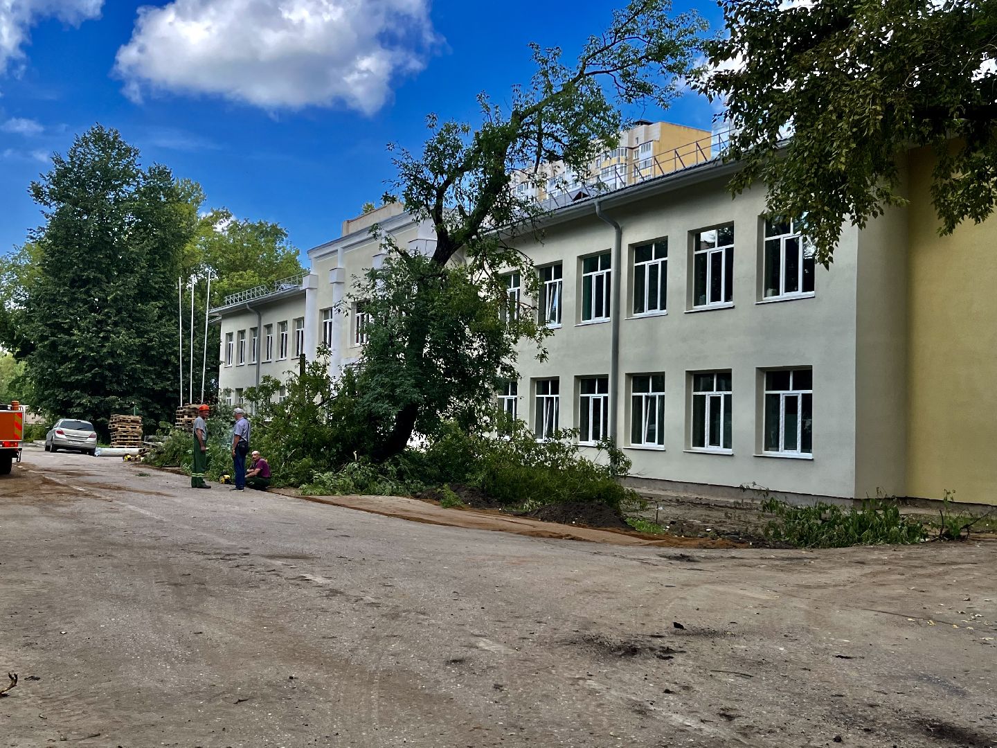 Наро-Фоминск, опиловка деревьев, благоустройство территории, новая жизнь улицы, комфортная среда