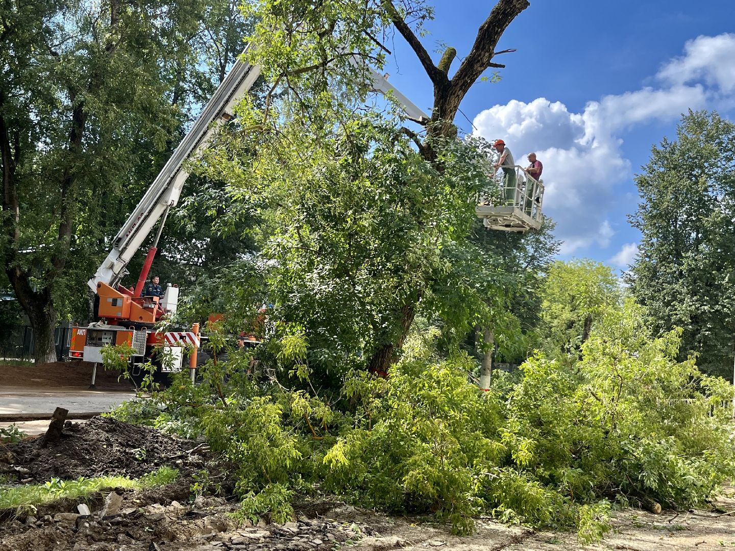 Наро-Фоминск, опиловка деревьев, благоустройство территории, новая жизнь улицы, комфортная среда