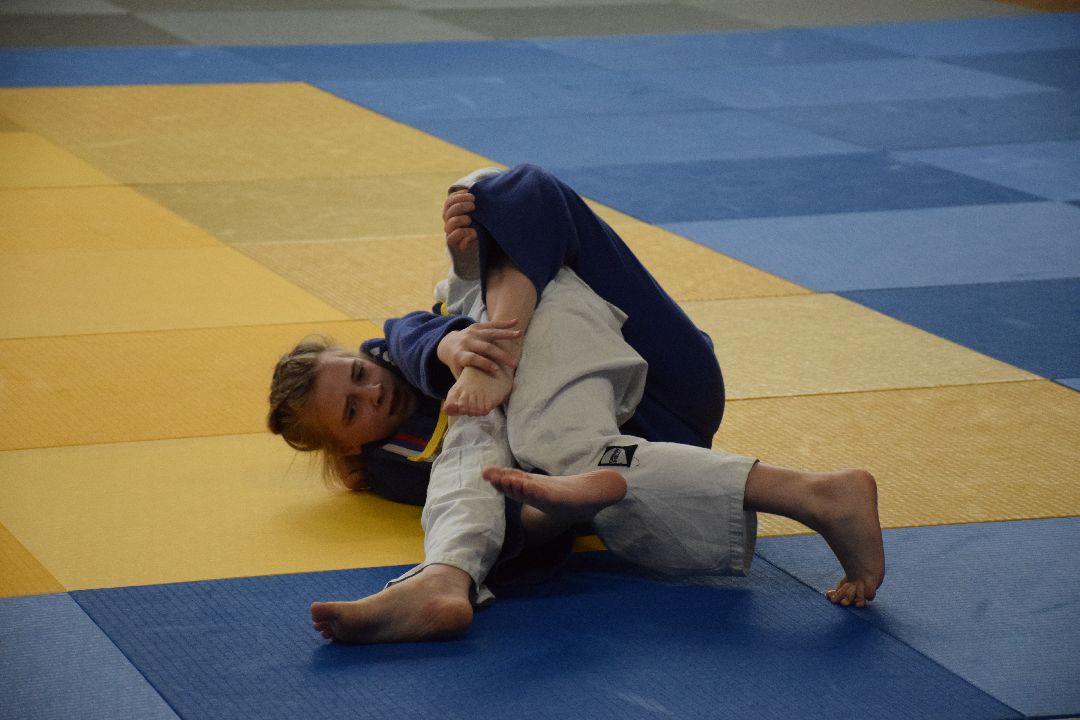 Павловский Посад, Спорт, Дзюдо