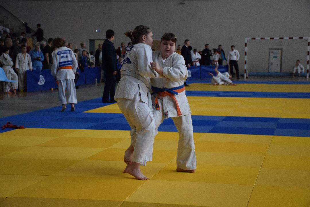 Павловский Посад, Спорт, Дзюдо