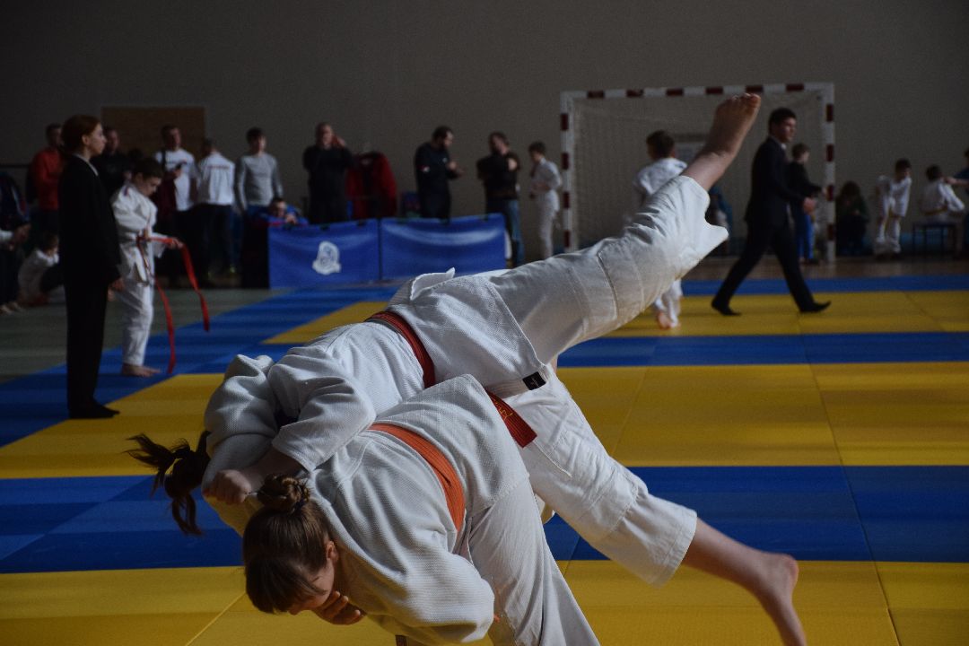 Павловский Посад, Спорт, Дзюдо