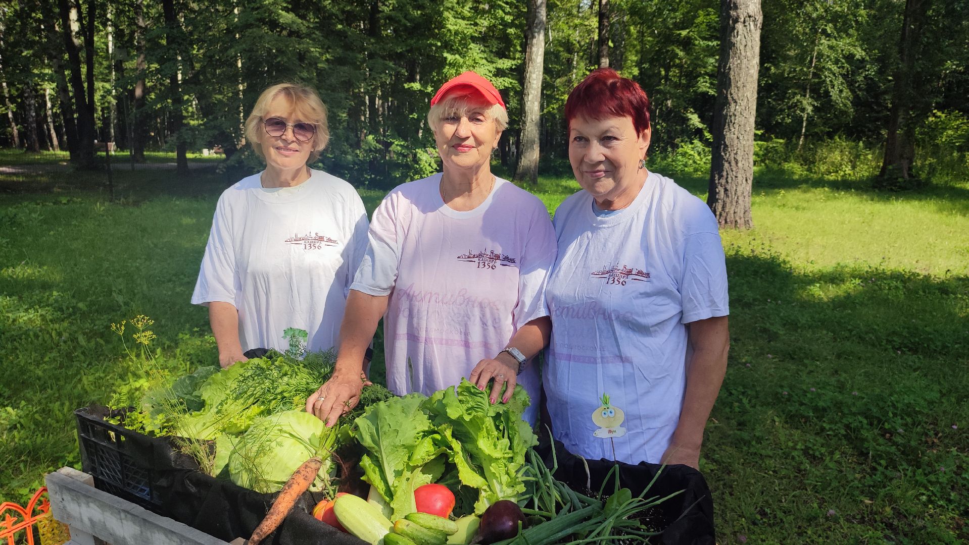 Кашира, Активное долголетие, общественный огород, урожай, капуста, лук