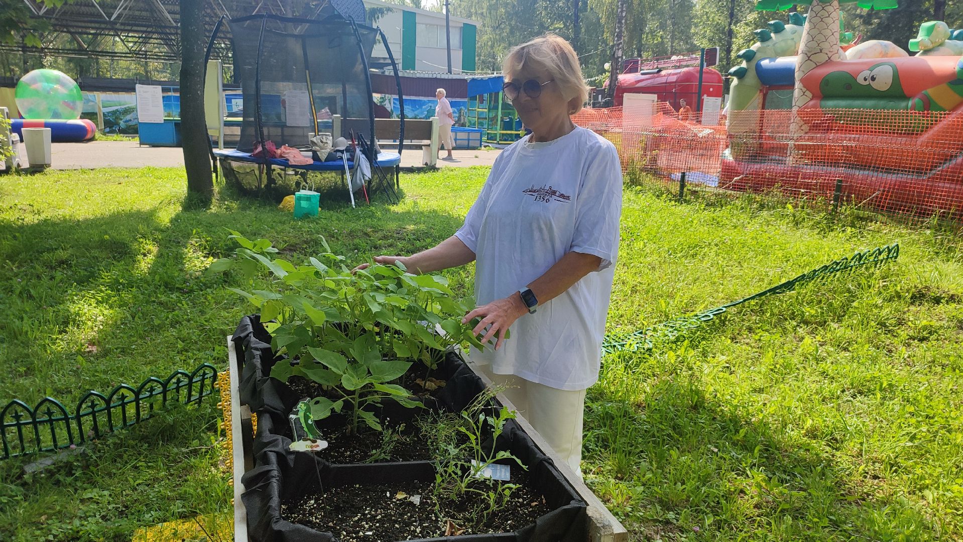Кашира, Активное долголетие, общественный огород, урожай, капуста, лук