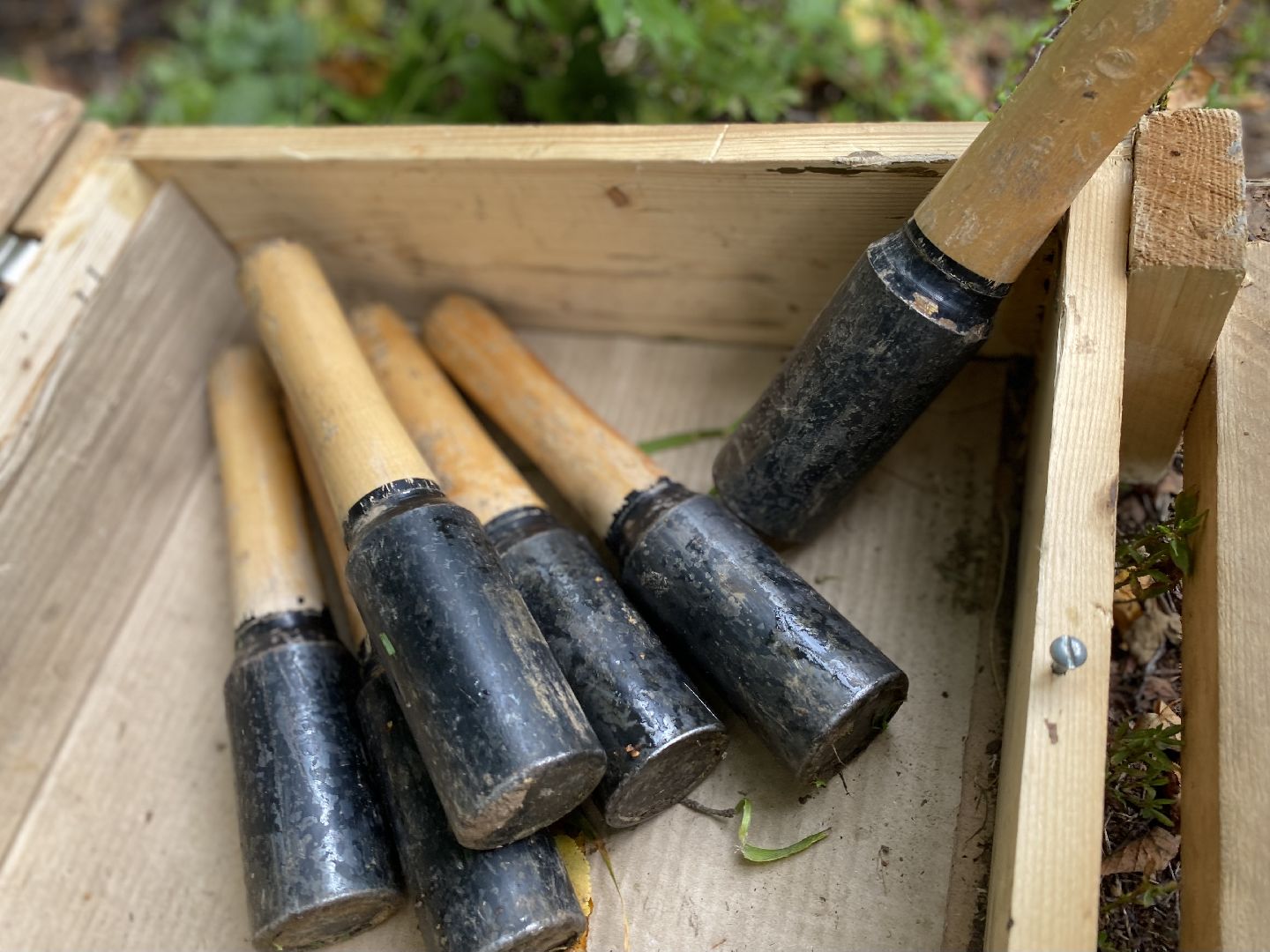 Домодедово, ВДВ, спортивная игра, десантники, 2 августа, Данилово, выездное мероприятие.