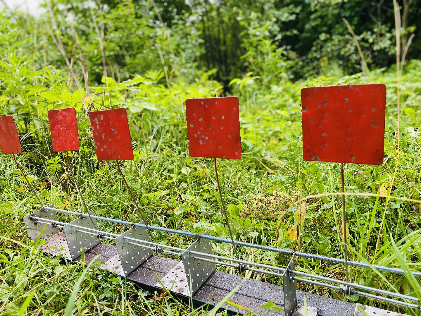 Домодедово, ВДВ, спортивная игра, десантники, 2 августа, Данилово, выездное мероприятие.