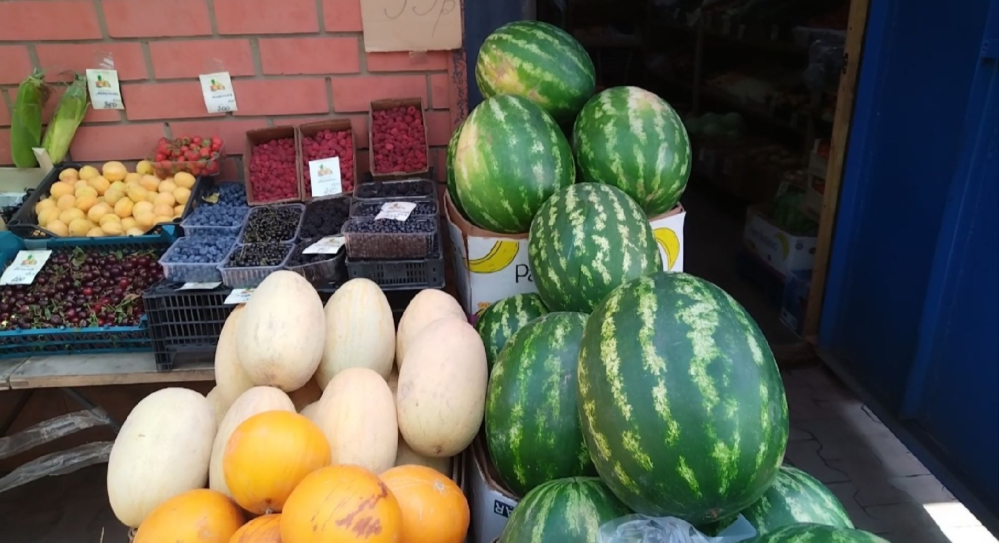 Бахчевые культуры, арбузы и дыни, Мытищи