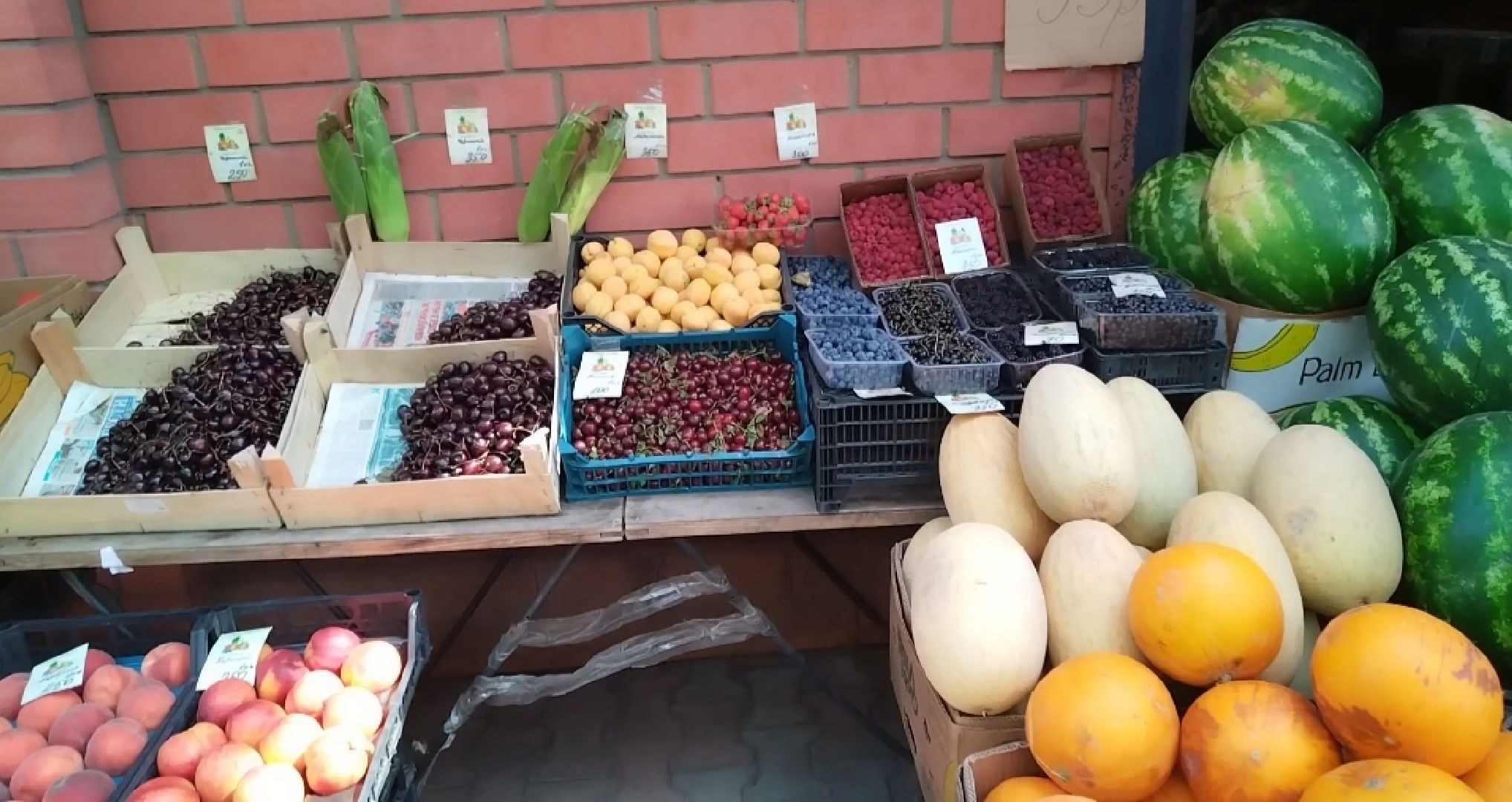 Бахчевые культуры, арбузы и дыни, Мытищи