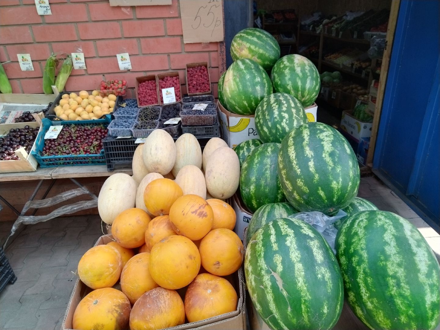 Бахчевые культуры, арбузы и дыни, Мытищи