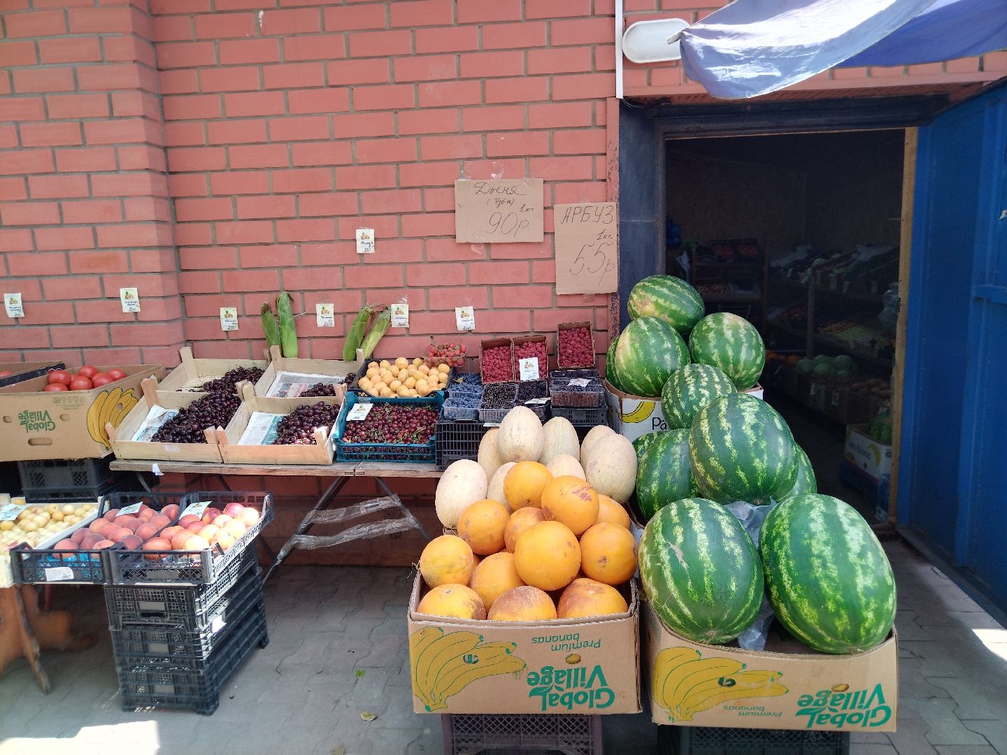 Бахчевые культуры, арбузы и дыни, Мытищи