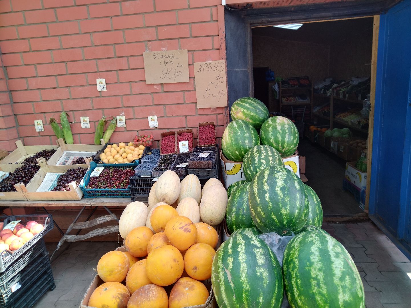 Бахчевые культуры, арбузы и дыни, Мытищи