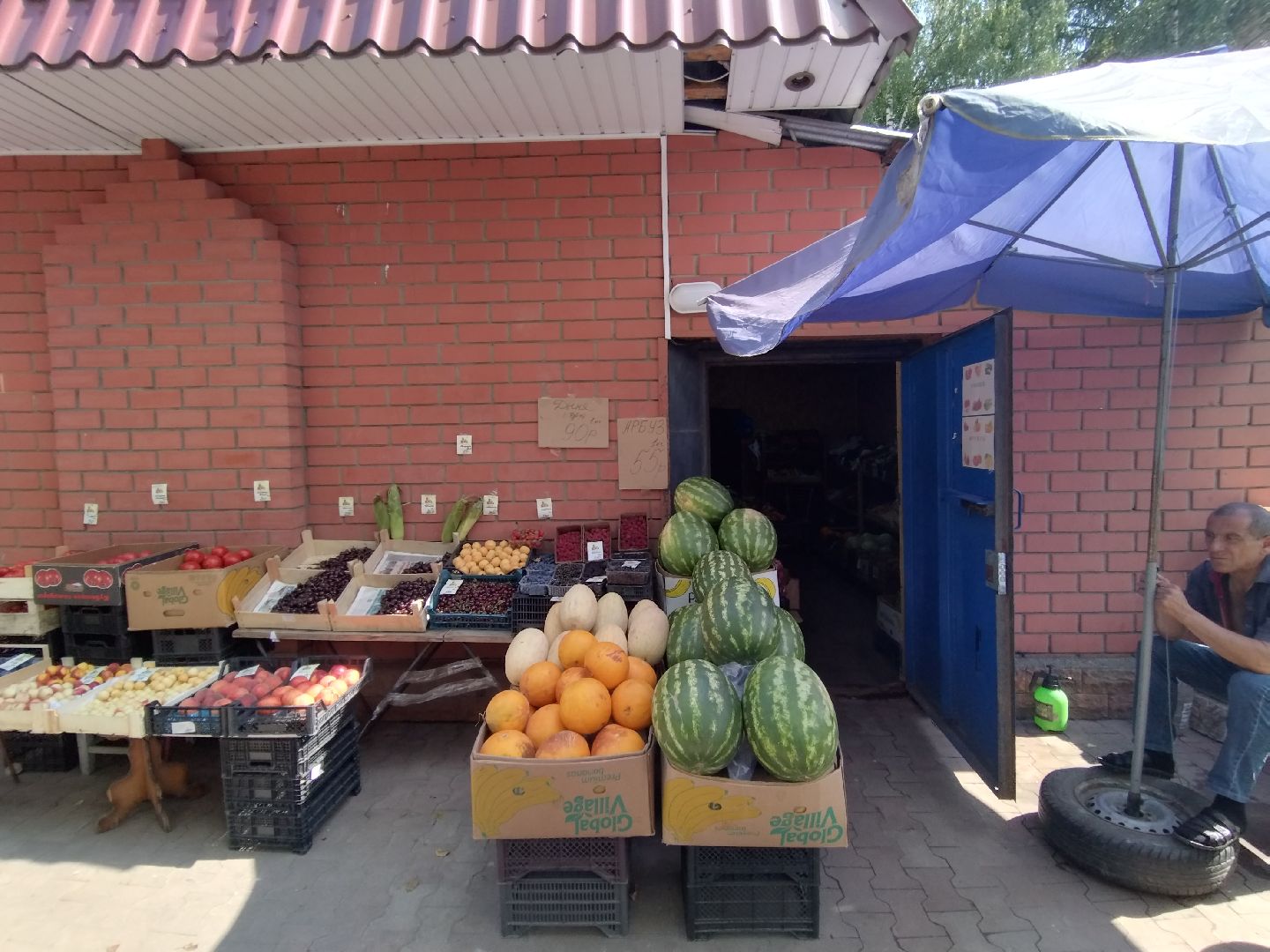 Бахчевые культуры, арбузы и дыни, Мытищи