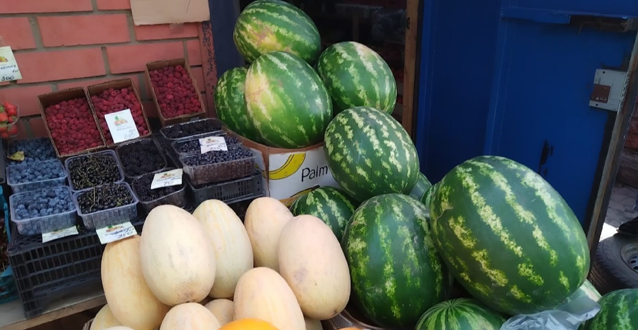 Бахчевые культуры, арбузы и дыни, Мытищи